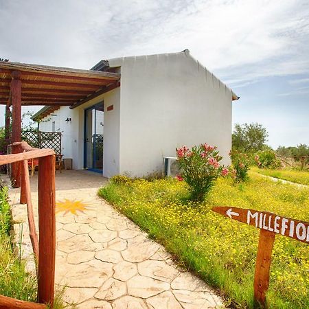 Agriturismo Mieleamaro Villa Olbia Esterno foto