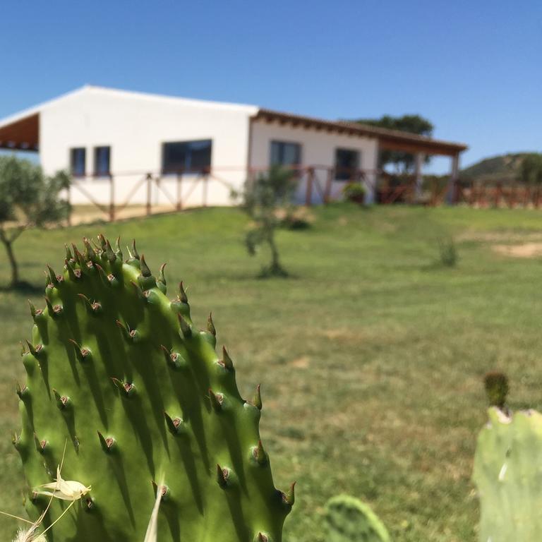 Agriturismo Mieleamaro Villa Olbia Esterno foto