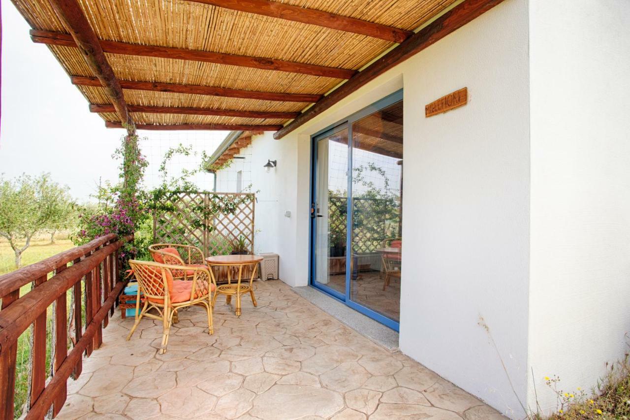 Agriturismo Mieleamaro Villa Olbia Esterno foto
